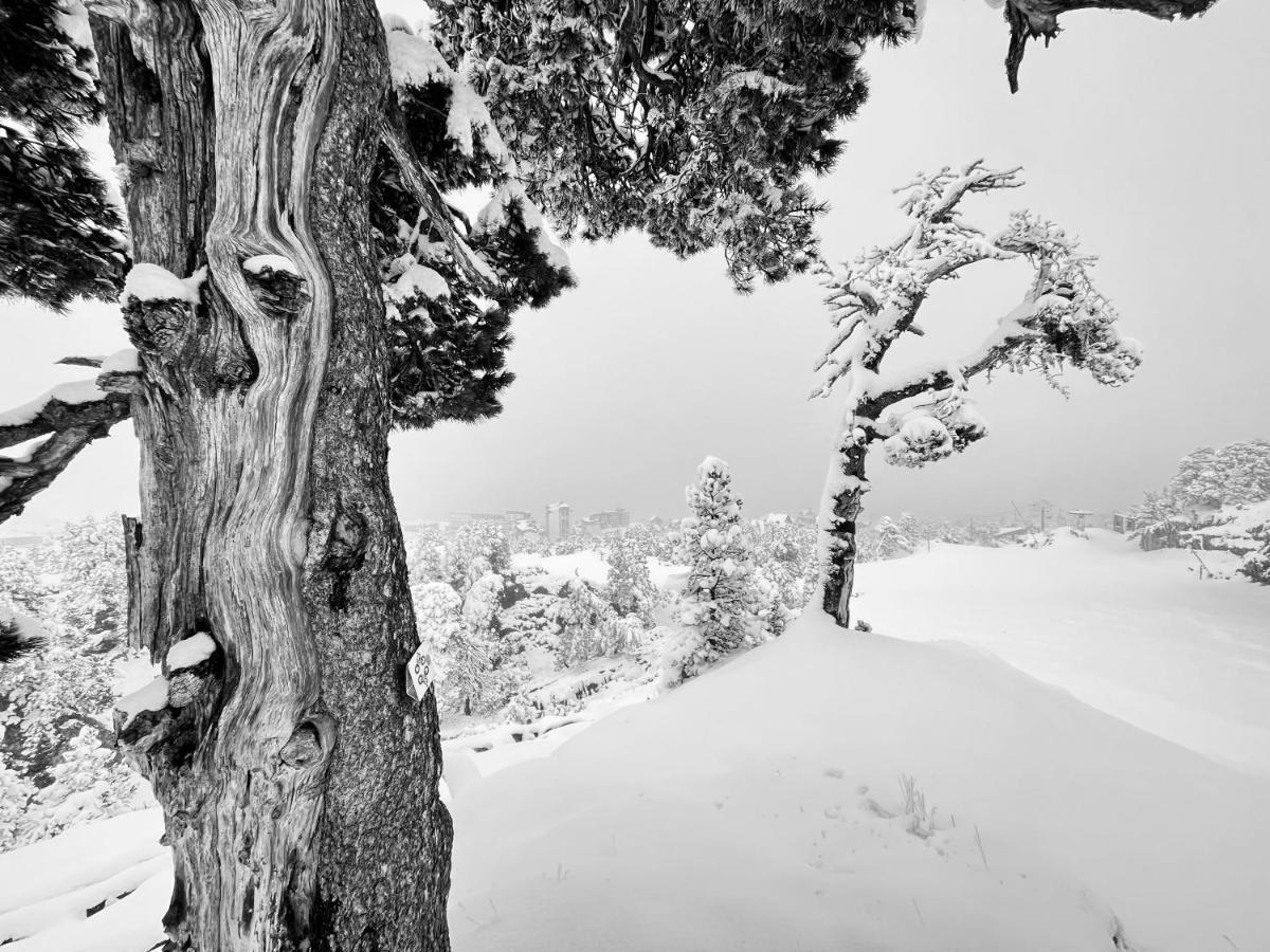 Atipic Lodge アレット エクステリア 写真